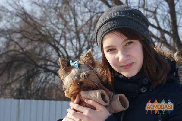 Даша  Соколенко фото №946030. Загружено 27 Октября 2015