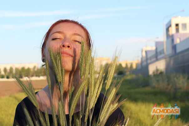 Anastasia  Ametova фото №881222. Загружено 01 Июля 2015