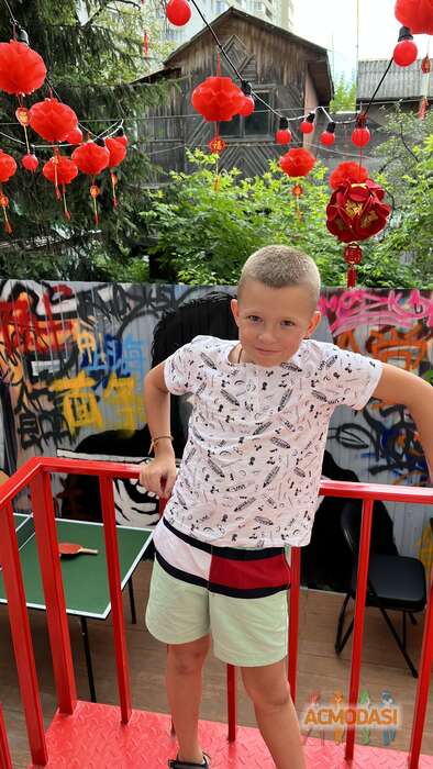 Лев   фото №1859302. Загружено 29 Июня 2023