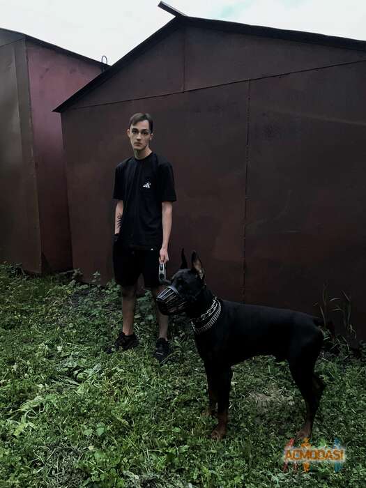 Данила  Репников фото №1757850. Загружено 17 Ноября 2021