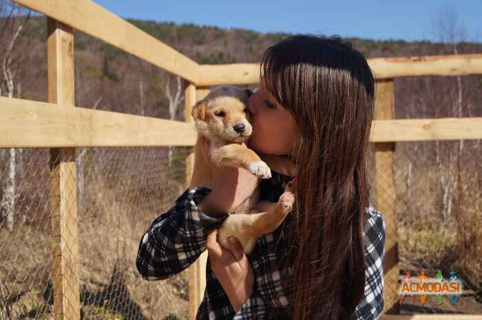 Анна  Перцева фото №761384. Загружено 28 Октября 2014