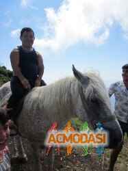 Рушан   фото №792516. Загружено 22 Декабря 2014