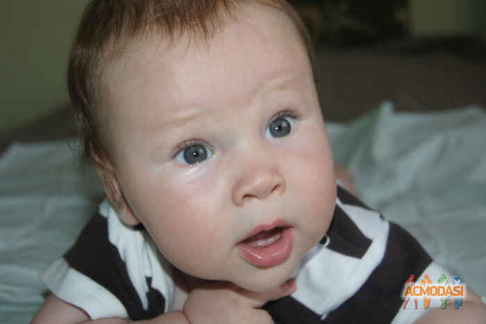 Тимур Александрович Ш фото №234833. Загружено 07 Августа 2012