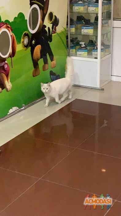 Алексей  Иванов фото №1537833. Загружено 10 Ноября 2019