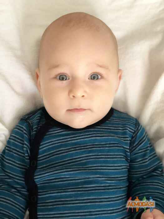 Марк Данилович Самсонычев фото №1368113. Загружено 06 Сентября 2018