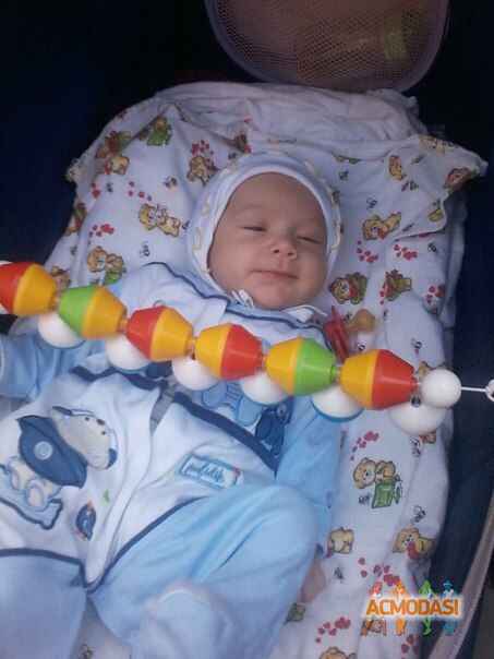 Леонид Владиславович Волох фото №576907. Загружено 21 Января 2014