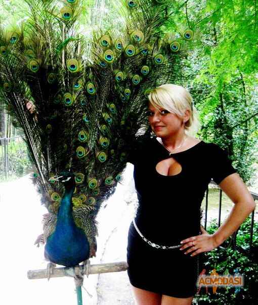 Ольга  Алексеевна фото №290413. Загружено 15 Ноября 2012