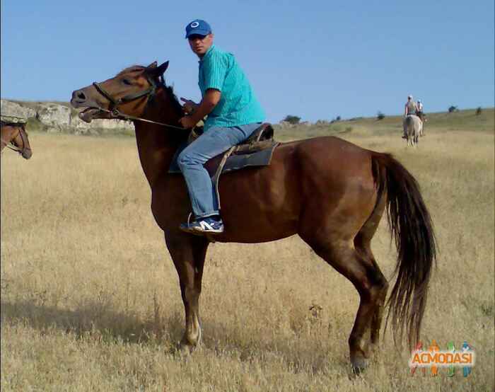 Олег Леонидович Заяц фото №537106. Загружено 20 Ноября 2013