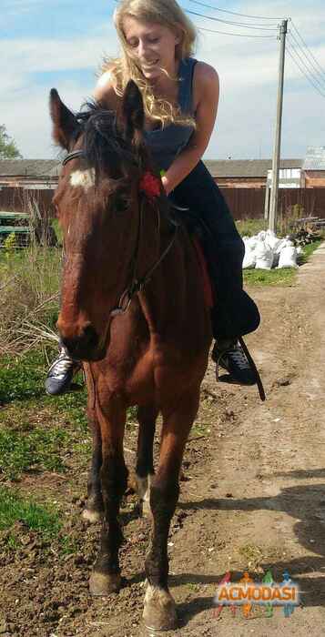 Ксения Сергеевна Дубиева фото №1303391. Загружено 24 Марта 2018