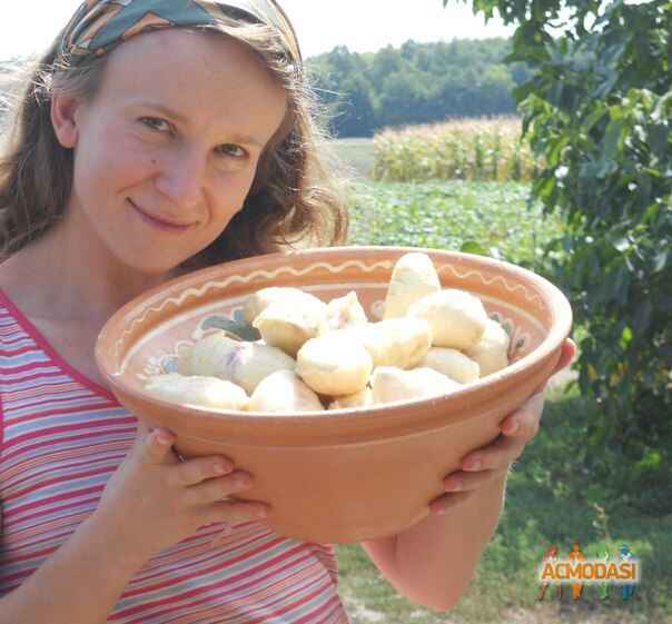 Марина Дмитриевна Черная фото №337491. Загружено 31 Января 2013