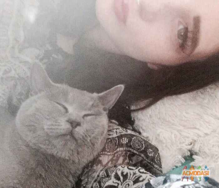 Анжелика Александровна Андрюхова фото №1176178. Загружено 05 Мая 2017