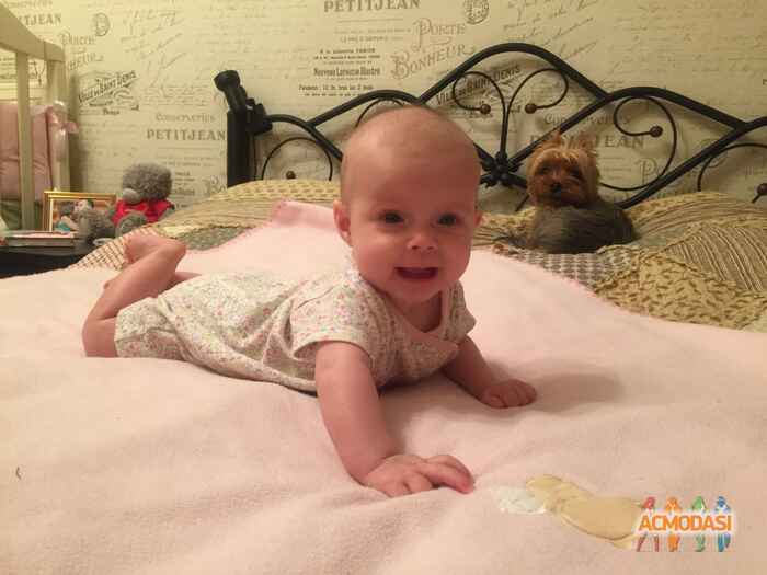 Анна   фото №1251240. Загружено 14 Ноября 2017