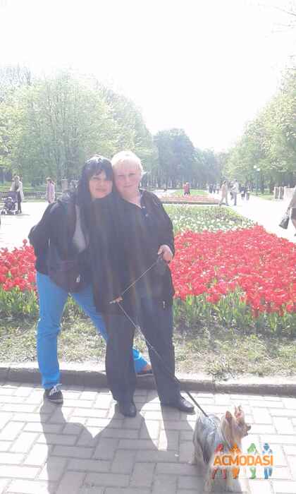 Шолошенко Наталия Ивановна фото №859839. Загружено 12 Мая 2015