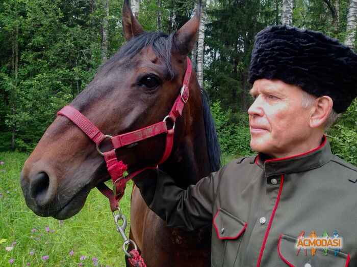 Андрей Витальевич Попов фото №1499280. Загружено 13 Августа 2019