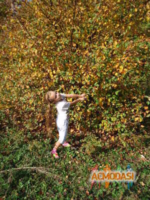 Ева   фото №358030. Загружено 04 Марта 2013