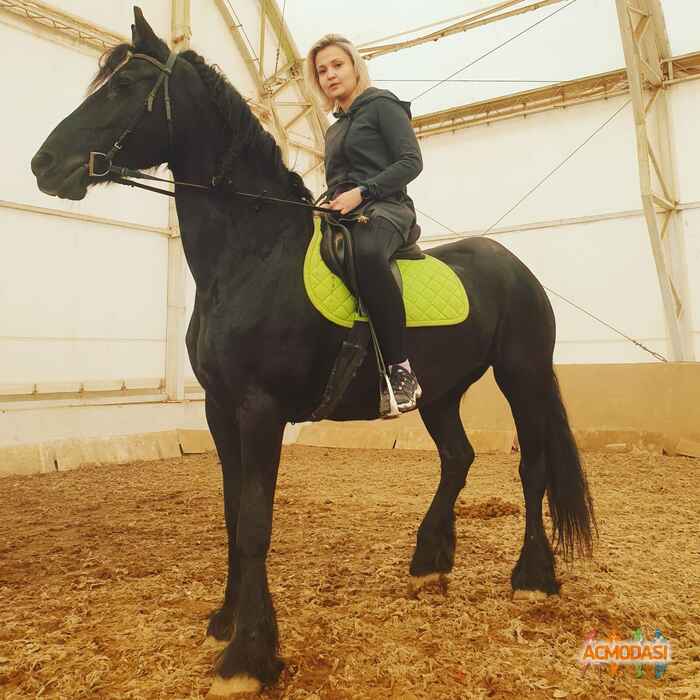 Динарочка Хайдаровна Сараева фото №1514855. Загружено 22 Сентября 2019