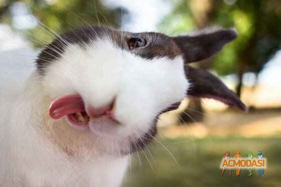 лена  семенюк фото №832089. Загружено 09 Марта 2015