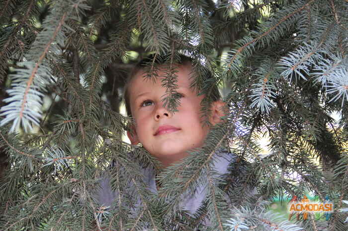 Ваня  Александрович фото №184995. Загружено 16 Апреля 2012