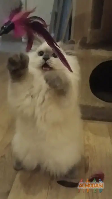 Мария  Семёнова фото №1936525. Загружено 17 Сентября 2025