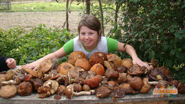 Марьяна Анатольевна Камарали фото №654454. Загружено 17 Мая 2014