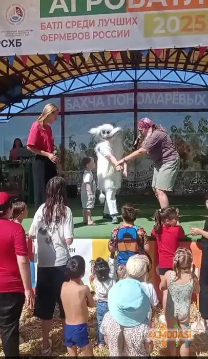 Ксения  Беховая фото №1943518. Загружено 11 Декабря 2025