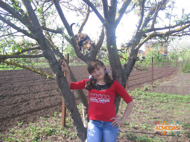Анастасия Витальевна Старикова фото №306554. Загружено 09 Декабря 2012