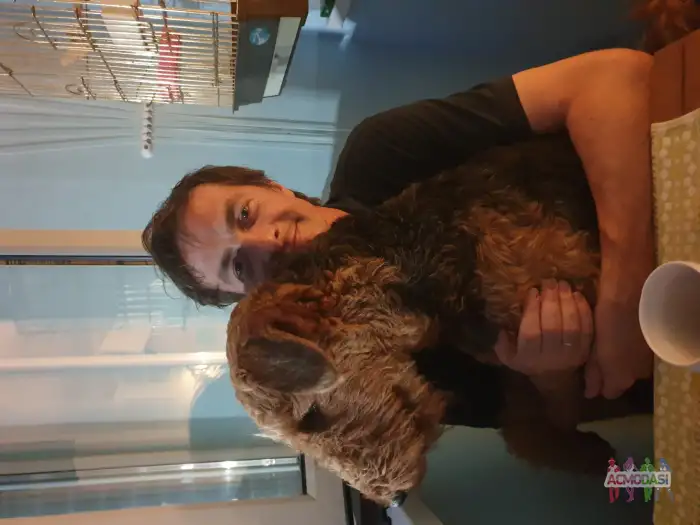 Алексей  Гриневич фото №1936177. Загружено 14 Сентября 2025