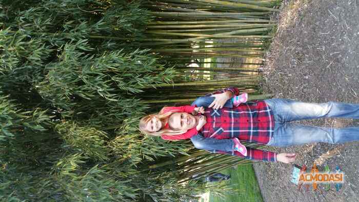 Roman  Golubnych фото №901097. Загружено 07 Августа 2015