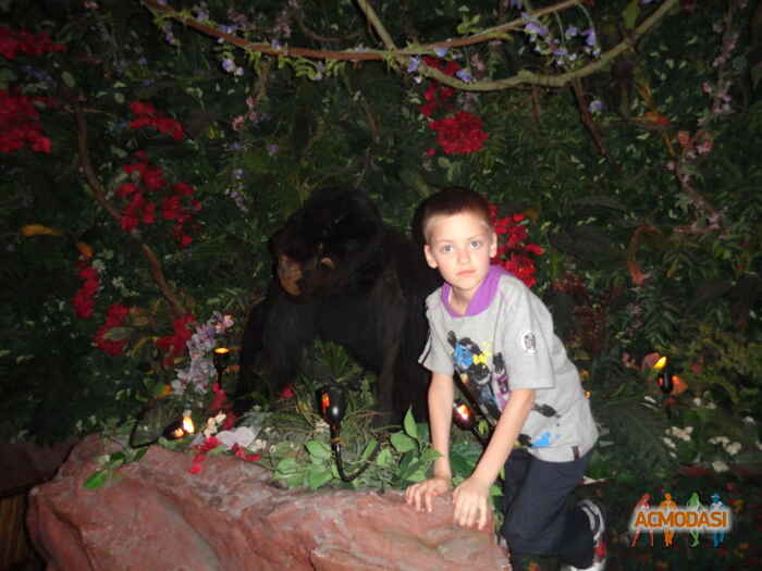 Анатолий  Загорский фото №430268. Загружено 17 Июня 2013