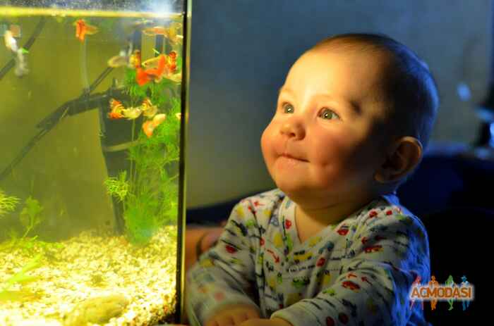 Тимофей Даниилович Зеленин фото №853249. Загружено 23 Апреля 2015