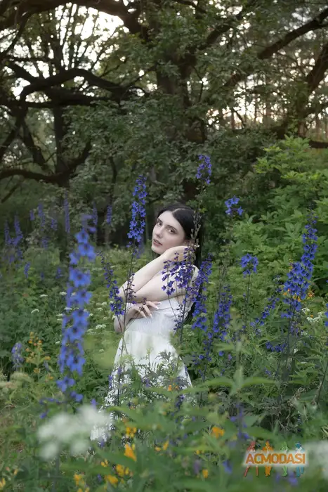 Светлана  Жданович фото №1936729. Загружено 20 Сентября 2025