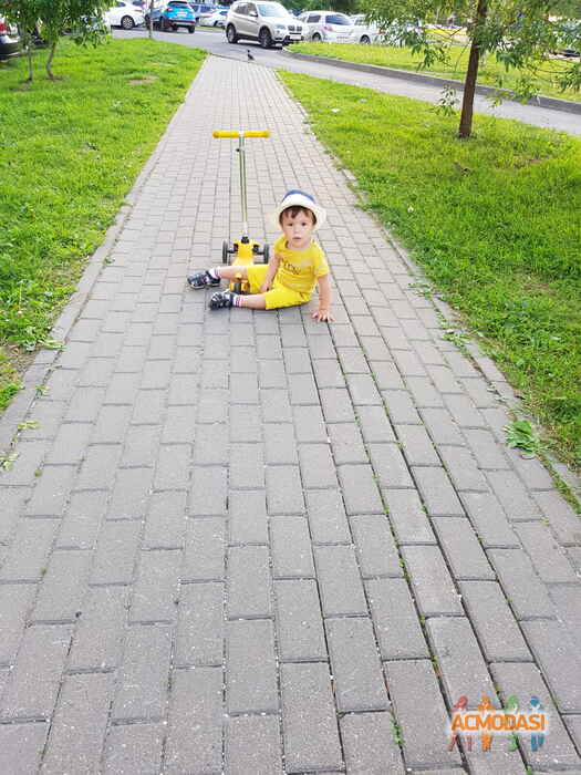 Vladimir Dmitrievich Moiseev фото №1469141. Загружено 03 Июня 2019