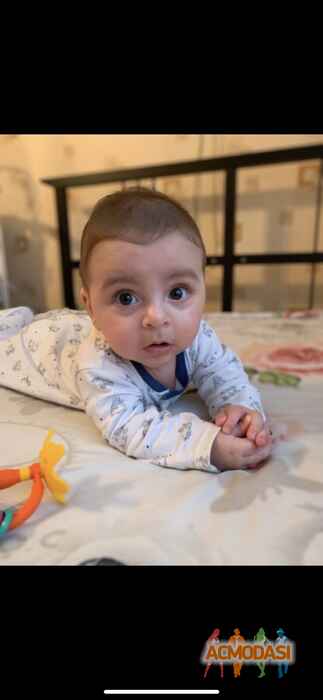 Арман Артурович Атабекян фото №1557185. Загружено 09 Января 2020