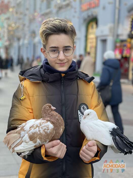 Валерий  Шах фото №1829525. Загружено 17 Ноября 2022