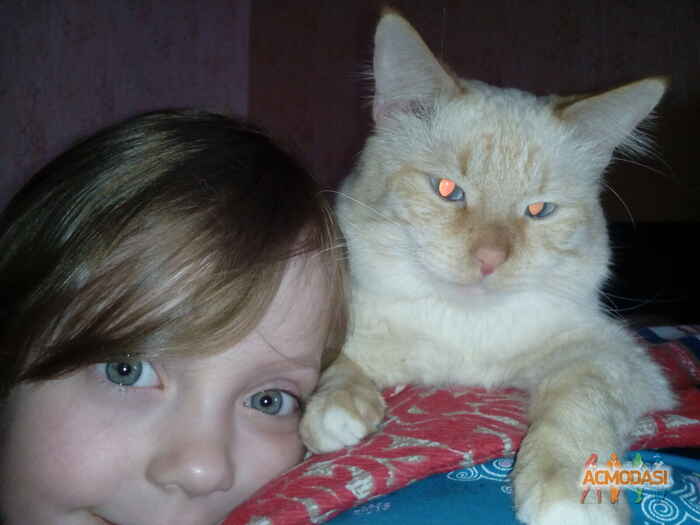 Мария Александровна Богданова фото №1417180. Загружено 26 Января 2019