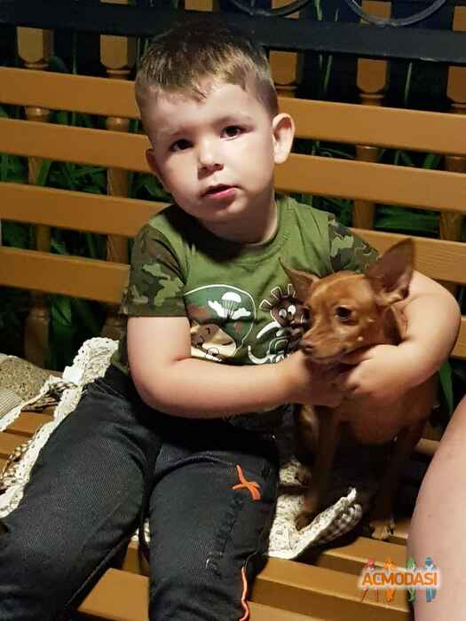 Галина  Кльоб фото №1475930. Загружено 22 Июня 2019