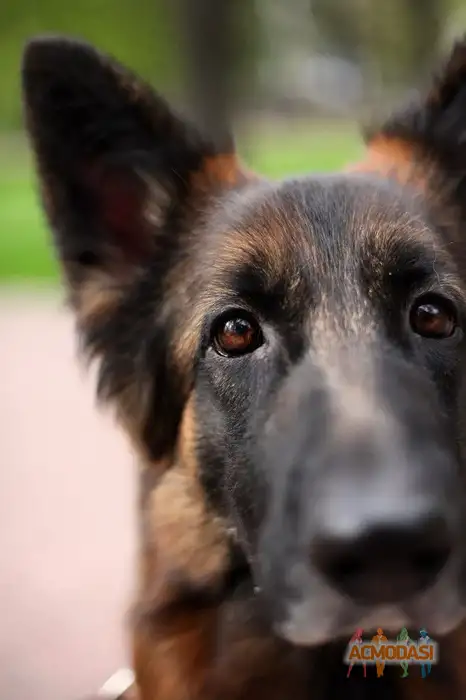 Ver  Rep фото №1937187. Загружено 24 Сентября 2025