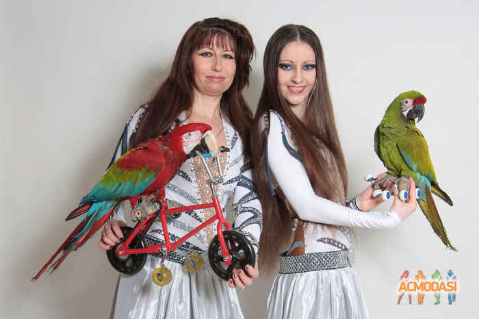 Анжелла Юрьевна Волохвянская фото №943723. Загружено 23 Октября 2015