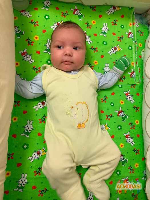 Светлана  Комиссарова фото №1452462. Загружено 29 Апреля 2019