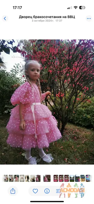 Стефания   фото №1935548. Загружено 04 Сентября 2025