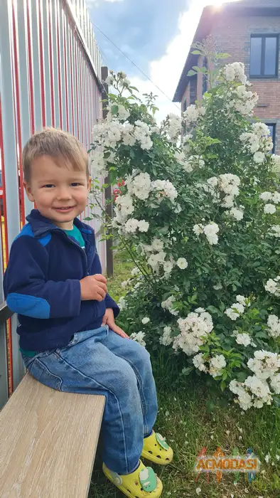 Егор  Михальцов фото №1935926. Загружено 10 Сентября 2025