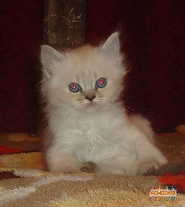 Илья  Горбач фото №690527. Загружено 15 Июля 2014