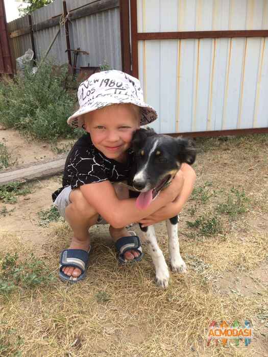 Роман Максимович Виноградов фото №1525777. Загружено 14 Октября 2019