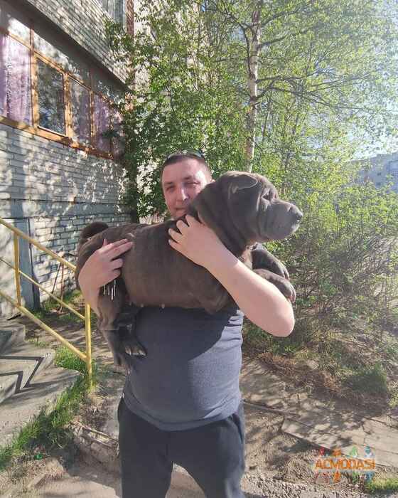 Алексей  Сидоренко фото №1709125. Загружено 21 Мая 2021