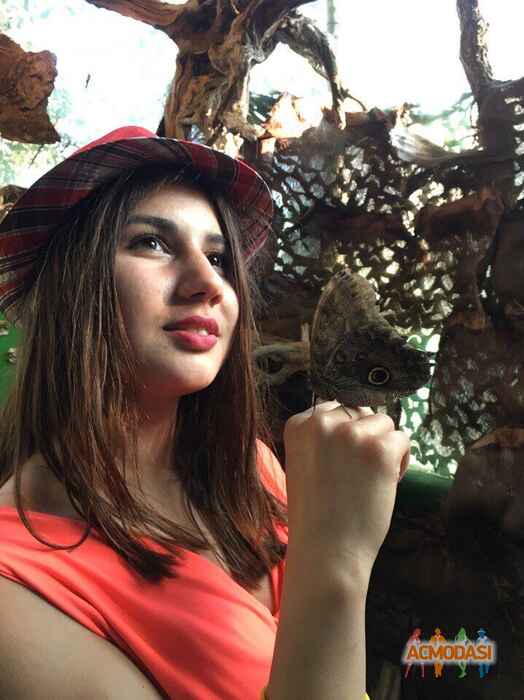 Валерия Андреевна Губанова фото №1474923. Загружено 19 Июня 2019