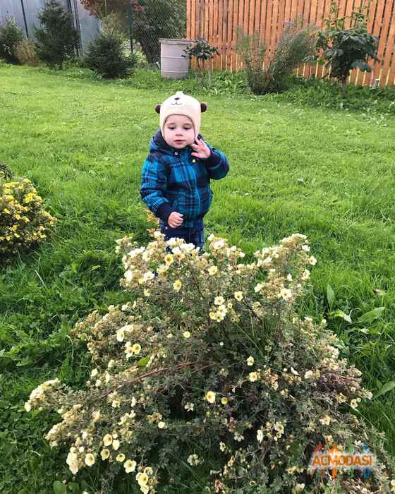 Никита   фото №1526620. Загружено 16 Октября 2019