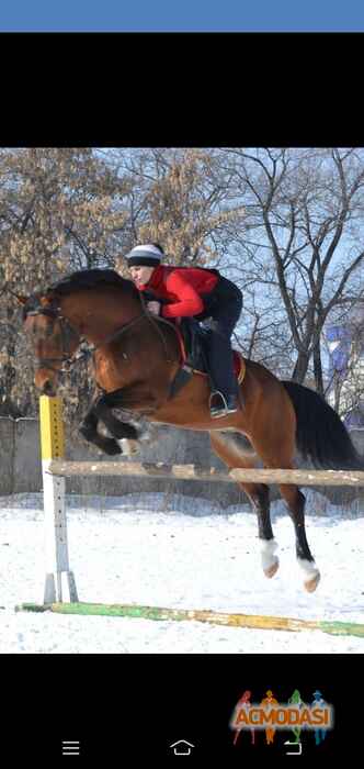 Анастасия Евгеньевна Дессерт фото №1588299. Загружено 30 Марта 2020
