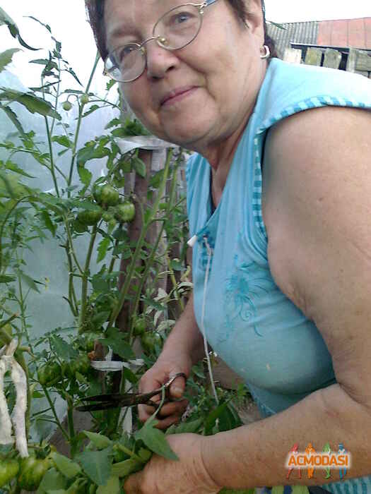 Румянцева Зинаида Михайловна фото №281962. Загружено 02 Ноября 2012