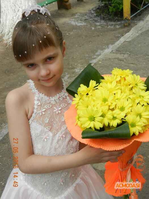 Анастасия Павловна Дрямина фото №1375226. Загружено 25 Сентября 2018