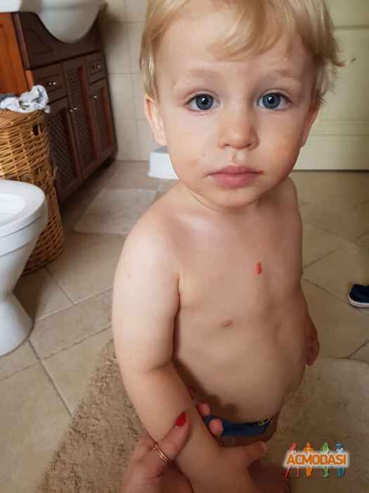 Лев   фото №1487286. Загружено 18 Июля 2019